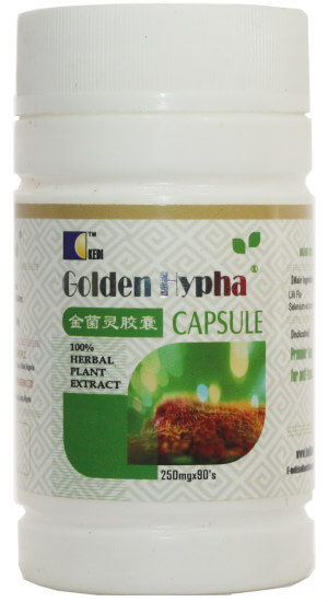 Kedi Golden Hypha in Nigeria